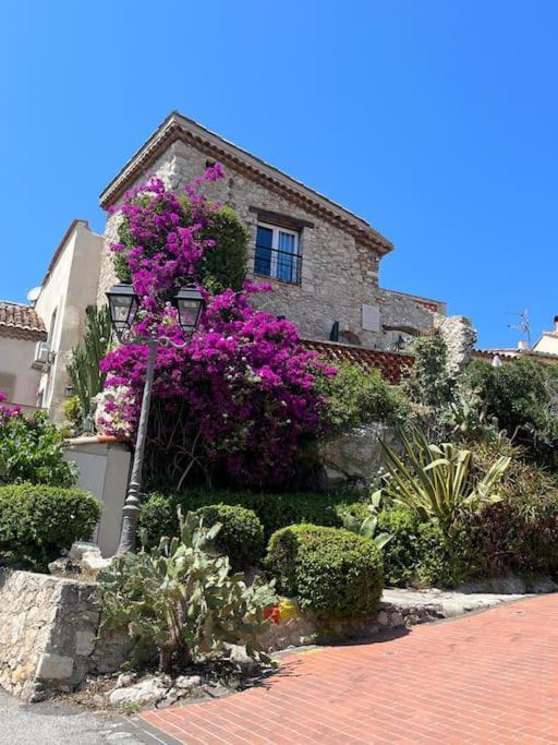 Strelizia - New Central Old Antibes For 4 Ac Esterno foto