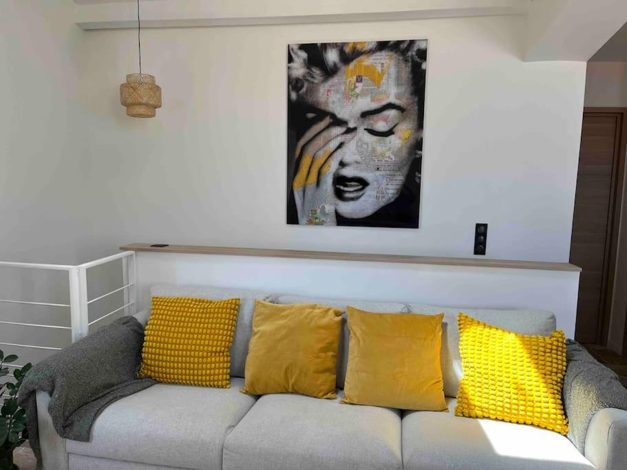 Strelizia - New Central Old Antibes For 4 Ac Esterno foto