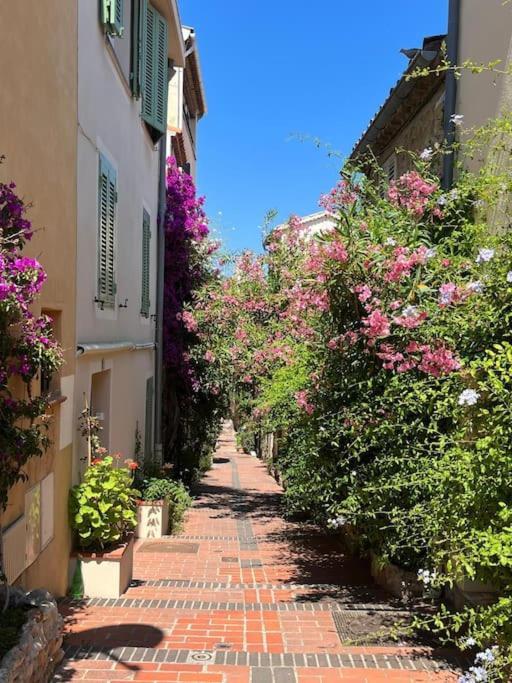 Strelizia - New Central Old Antibes For 4 Ac Esterno foto